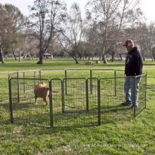 Chenille résistante de chat de jeu de chat de chien de cage d&#39;animal familier